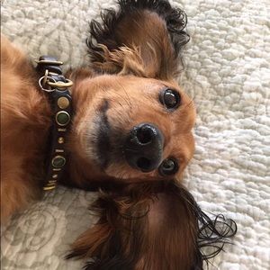 Meet your Posher, Mimi